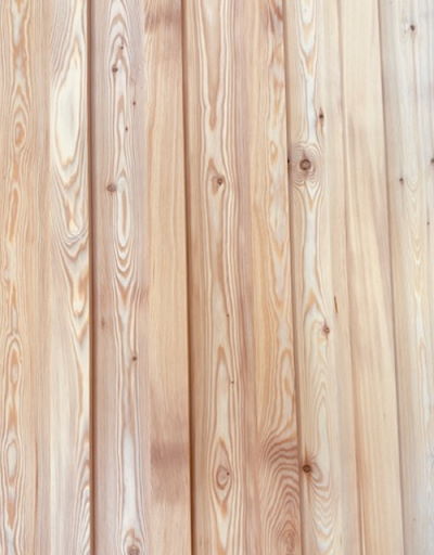 British larch Slatted Fencing British larch Contemporary Fencing Slatted
