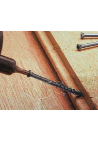 British Larch Stainless Steel Screws British Larch Stainless Steel Screws